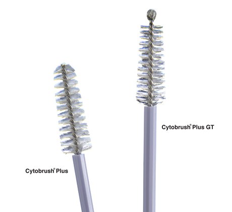 Cytobrush Plus® Gt Cytology Brush, Sold As 100/Bag Cooper C0305