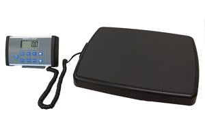 Pelstar/Health O Meter Professional Scale - Digital Floor Scale. Scale Dgt Floor Remote Power500Lb Adpt31 Inc (Drop), Each
