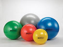 Hygenic/Thera-Band Pro Series Scpª Exercise Balls. Ball Exercise Proseries 55Cmred 10/Cs, Case