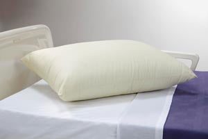 Encompass Nylon Reusable Pillow. , Case