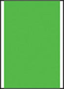 Timemed Pc6ª Labeling System. Piggyback Labels, Green, 750/Rl, 12 Rl/Bx. , Box