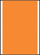 Timemed Pc6ª Labeling System. Piggyback Labels, Orange 750/Rl, 12 Rl/Bx. , Box