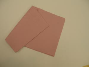 Tidi All Tissue Patient Drape Sheet. Drape 2Ply 40X48 Mauve 100/Cs, Case