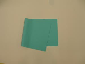 Tidi All Tissue Patient Drape Sheet. Drape/Stretcher Teal 40X482Ply Tissue 100/Cs, Case