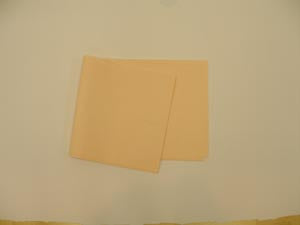 Tidi All Tissue Patient Drape Sheet. Sheet Drape 10X48 Peach 2Plytissue Lf 100/Cs, Case