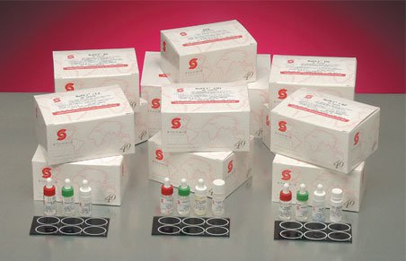 Rapet® Rf Rheumatoid Factor (Rf) Latex Agglutination Autoimmune Test Kit, Sold As 50/Kit Stanbio 1155-050